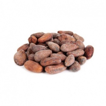 sporoi cacao